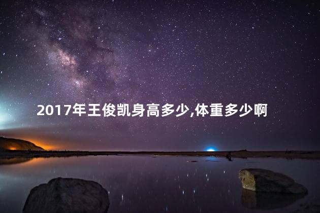 2017年王俊凯身高多少,体重多少啊，王俊凯身高 2017